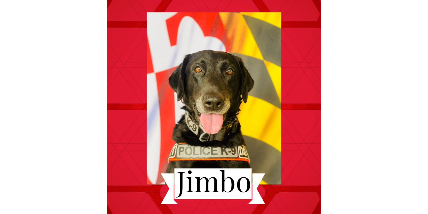 Photo of K-9 Jimbo